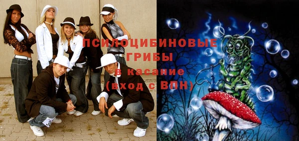 мдпв Абаза